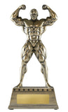 Premium Body Builder