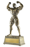 Premium Body Builder