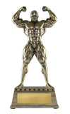 Premium Body Builder