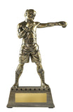Premium Boxing