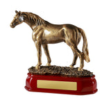 Horse Standing