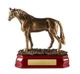 Horse Standing