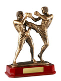 Double Kick Boxing