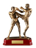 Double Kick Boxing