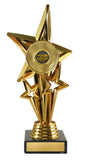Star Award with tubing