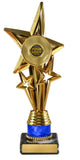 Star Award with tubing