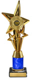Star Award with tubing