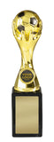 Freedom Football Award