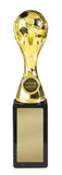 Freedom Football Award