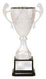 Copy of Eternal Cup Silver