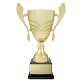 Avalon Cup