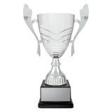 Avalon Cup