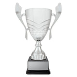 Avalon Cup