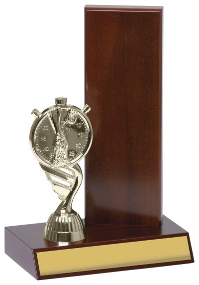 Rectangle Backstand off center Timber Trophy